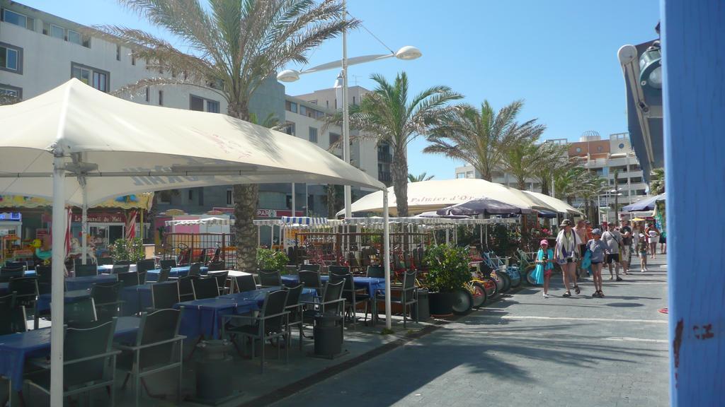 L'Ecrin De Circe Daire Agde Oda fotoğraf